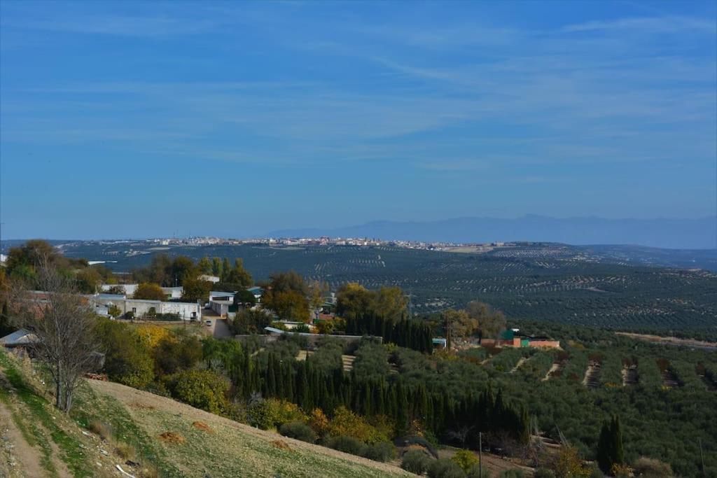 Mirador Del Guadalquivir Διαμέρισμα Baeza Εξωτερικό φωτογραφία